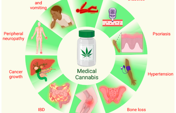 understanding the complexity of medical cannabis and dependency risks